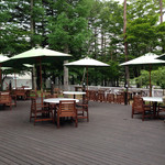 ドッグデプトガーデン - 