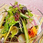 グリルバル マルノワ - 40種類以上の野菜を使った、今日足りなかったビタミンサラダ