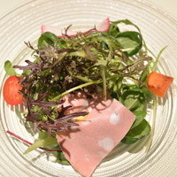サルティンバンコ - 2016/02   有機野菜&ﾊﾟﾙﾏ産生ﾊﾑのｻﾗﾀﾞ  Aランチ 1,700円