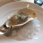 Restaurant27 - 【New!】岩手県大船渡産牡蠣のポッシェ