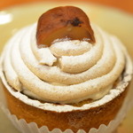 コティ - 2016/2撮影