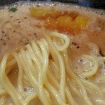 Tsukemembouzu - H28.2 柚子香りらぁ麺 麺アップ