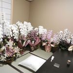 千代娘 - 【2016年2月】