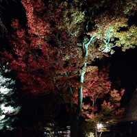 THE SODOH HIGASHIYAMA KYOTO - 