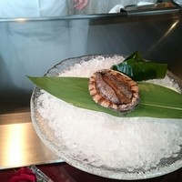 表参道うかい亭 - 