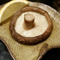 かんない 諸星 - 