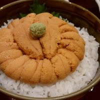 函館うに むらかみ 日本生命札幌ビル店 - 生うに丼