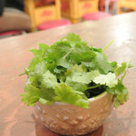 東京タイ料理 - 