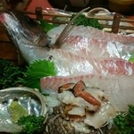 長岡 - すごーく新鮮です！