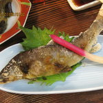 居酒屋 みこし - 