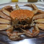 黄金寿司 - 有り得ないサイズの毛蟹！？