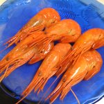 黄金寿司 - 旬の北海シマエビ