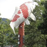 道の駅 やぶ - 錦鯉で有名だそうです