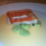 エル ブランシュ - 本日の魚料理　スズキ