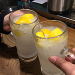 もつ焼き ねぎぼうず - H28.02.03 乾杯！