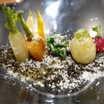 セララバアド - 冬の大地