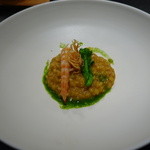 セララバアド - 才巻海老　菜の花