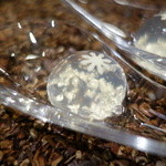 セララバアド - スノーボール