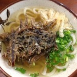 讃岐うどん河野 - このバージョンは、あまりおススメできない(いりこ揚げはいりこ飯にこそ)