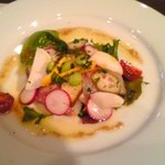 ダルクオーレ - 前菜：真鯛のカルパッチョ　サラダ仕立て