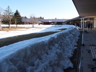 熟成和牛焼肉エイジング・ビーフ - 