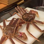 かま田 - 柴山がに　ピンクのリボンをつけて踊るポンポコリン
      