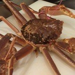 かま田 - 柴山がに ピンクのタグが