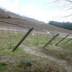 ココ・ファーム・カフェ - 