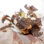 虎白 - トリュフ下仁田ネギ牛蒡