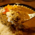 スパイスカリーて - セロリキーマとエビキチのあいがけカレー