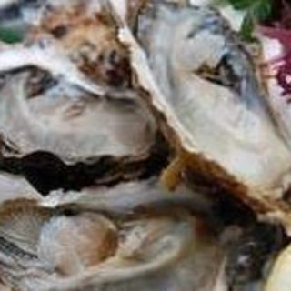 [Direct delivery from the farm] Enjoy fresh Oyster from Akkeshi, Hokkaido!