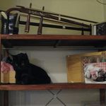 たまゆらん - アロマ(2016.02)