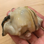 初音鮨 - 軽く火が入っています