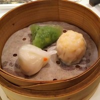 潮夢来 - 