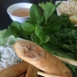 PHO CA DAO - 身がぎっちり