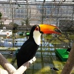 掛川花鳥園 - 