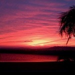 ラヴィマーナ アネックス パチャ