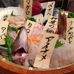 かくれ天海 とげぼうず - 