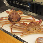 かま田 - ④柴山産活ズワイ