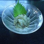 北乃睡蓮 - 