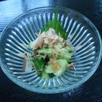 北乃睡蓮 - 