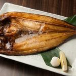 北乃睡蓮 - 