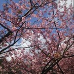 かね吉 一燈庵 - 