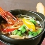 北乃睡蓮 - 
