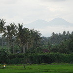 Jepun Bali "Tea Room" - 