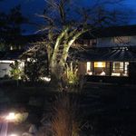 辻利兵衛本店 - ライトアップ中のお庭(2016.01)