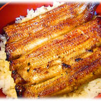 鰻割烹 伊豆栄 本店 - 