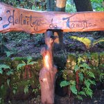 エルミタージュ ドゥ タムラ - 