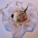 エルミタージュ ドゥ タムラ - 10年8月