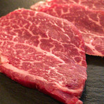 SATOブリアン - 2016/2_ヒレ